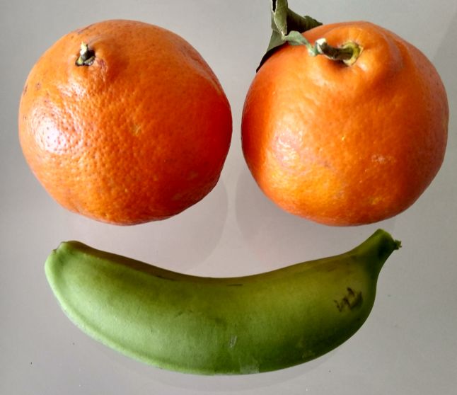 Nova citrus