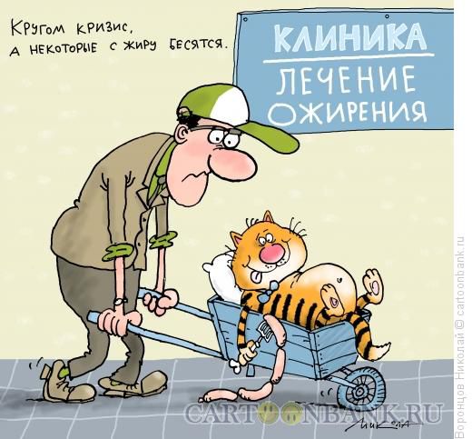 s zhiru besyatsya